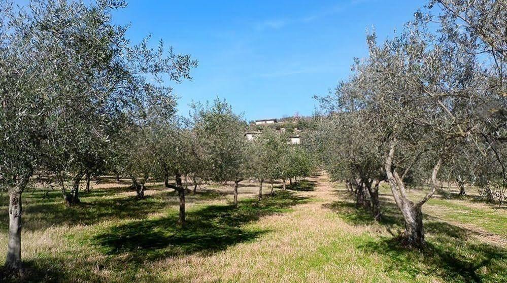 Casale San Pietro Bed and Breakfast Anagni Buitenkant foto